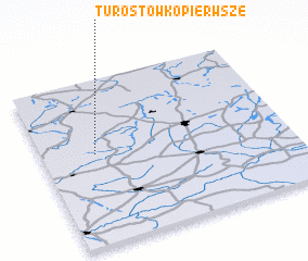 3d view of Turostówko Pierwsze