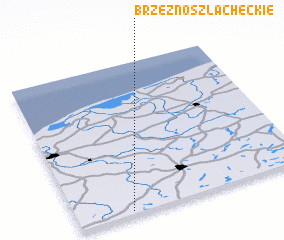 3d view of Brzeźno Szlacheckie