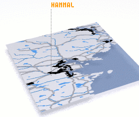 3d view of Hammal