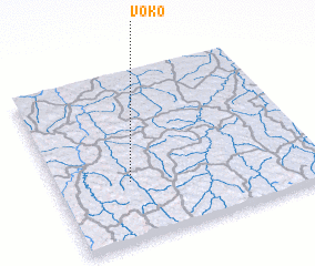 3d view of Voko
