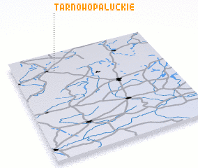 3d view of Tarnowo Pałuckie