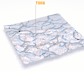 3d view of Toka