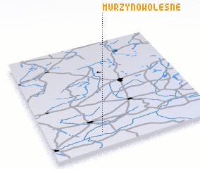 3d view of Murzynowo Leśne