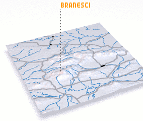 3d view of Branešci