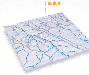 3d view of Ngungu
