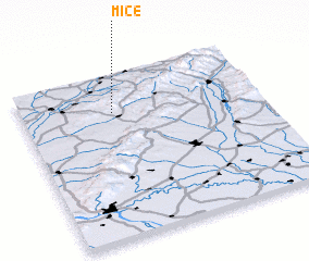 3d view of Miče