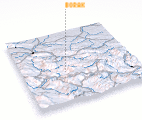 3d view of Borak