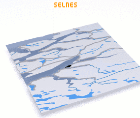 3d view of Selnes