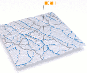 3d view of Kibaki