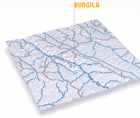 3d view of Bungila