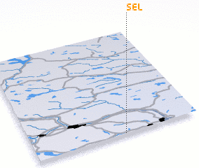 3d view of Sel