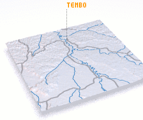 3d view of Tembo