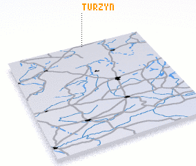 3d view of Turzyn