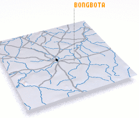3d view of Bongbota