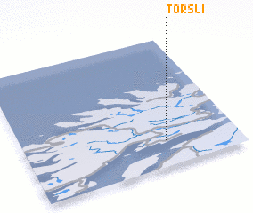 3d view of Torsli