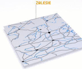 3d view of Zalesie