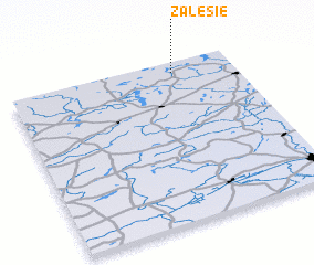 3d view of Zalesie