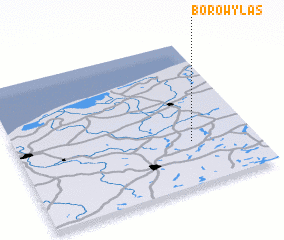 3d view of Borowy Las