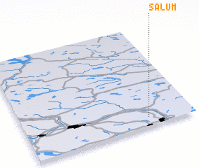 3d view of Salum