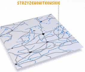 3d view of Strzyżewo Witkowskie