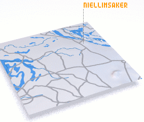 3d view of Niellim Saker