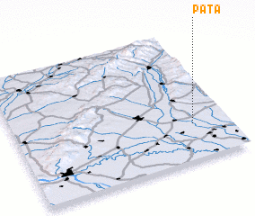 3d view of Pata