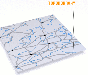 3d view of Toporów Nowy