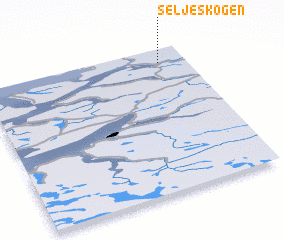 3d view of Seljeskogen