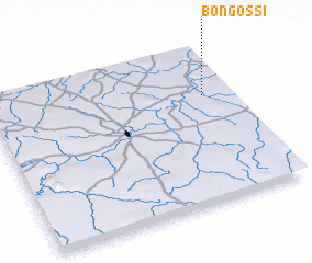 3d view of Bongossi