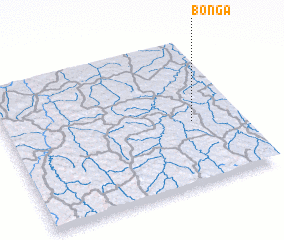 3d view of Bonga