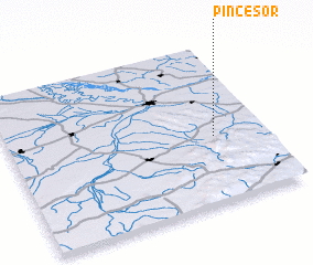 3d view of Pincesor