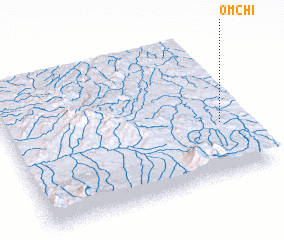 3d view of Omchi