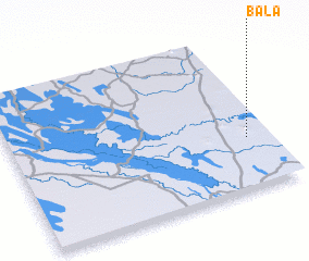 3d view of Bala