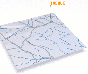 3d view of Tobalé