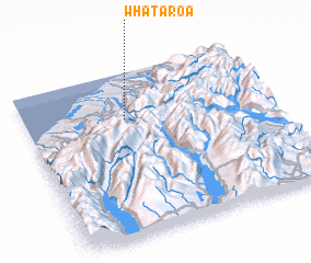 3d view of Whataroa