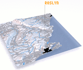 3d view of Roslyn