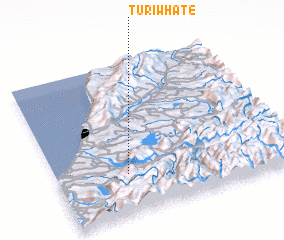 3d view of Turiwhate