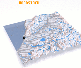 3d view of Woodstock