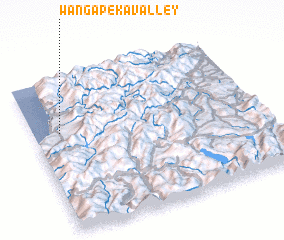 3d view of Wangapeka Valley