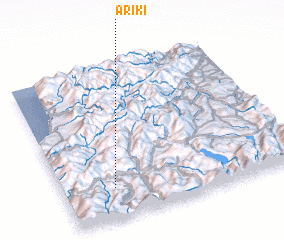 3d view of Ariki