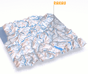 3d view of Rakau