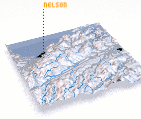 3d view of Nelson