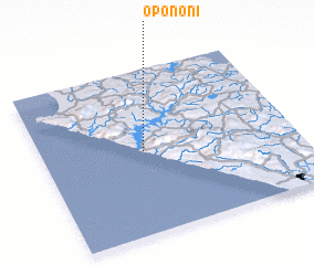 3d view of Opononi