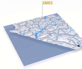 3d view of Saies