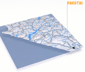 3d view of Pakotai