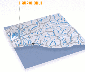 3d view of Kaupokonui