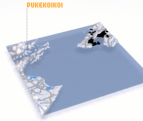 3d view of Pukekoikoi
