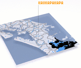 3d view of Kaukapakapa