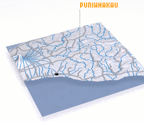 3d view of Puniwhakau