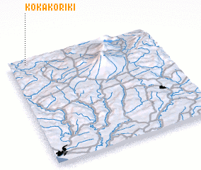 3d view of Kokakoriki